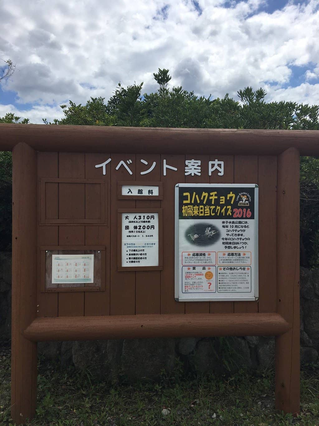 Scenic Views of Mt. Daisen
