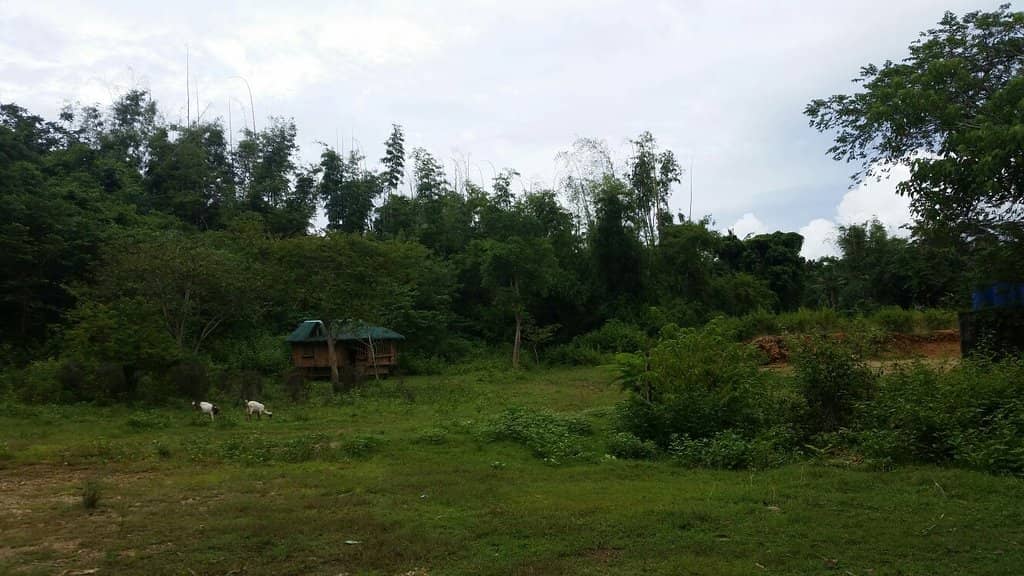 Rock Jumping Adventure