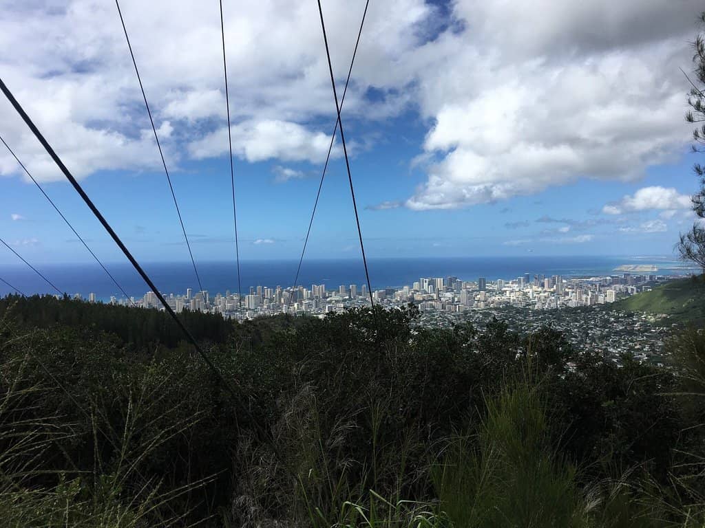 Vertical photo