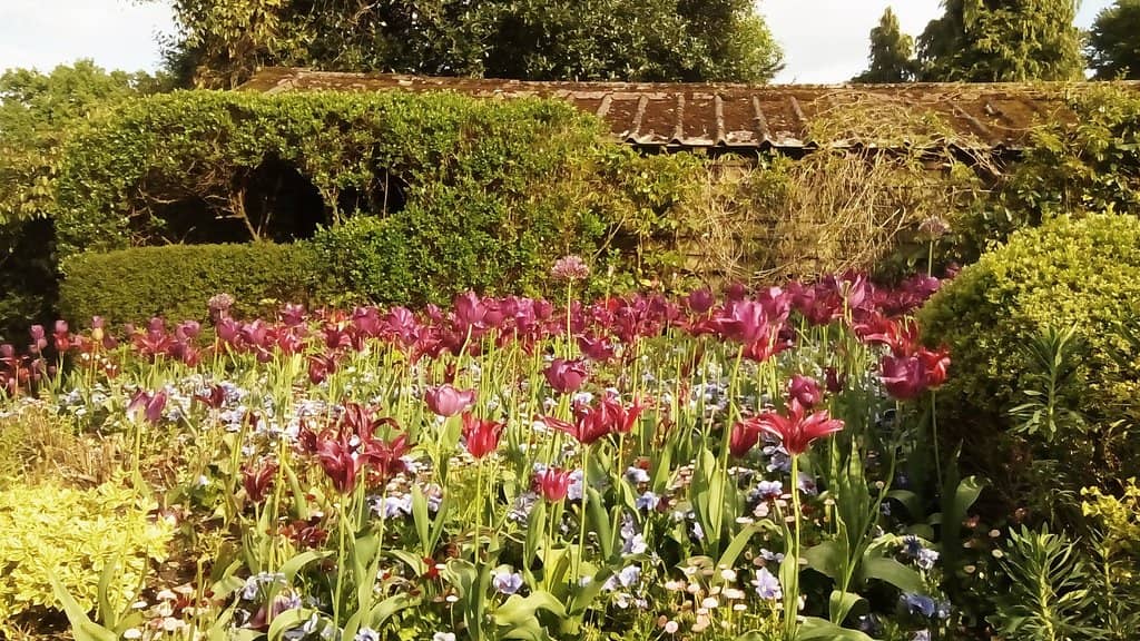 Wooded Walking Trails