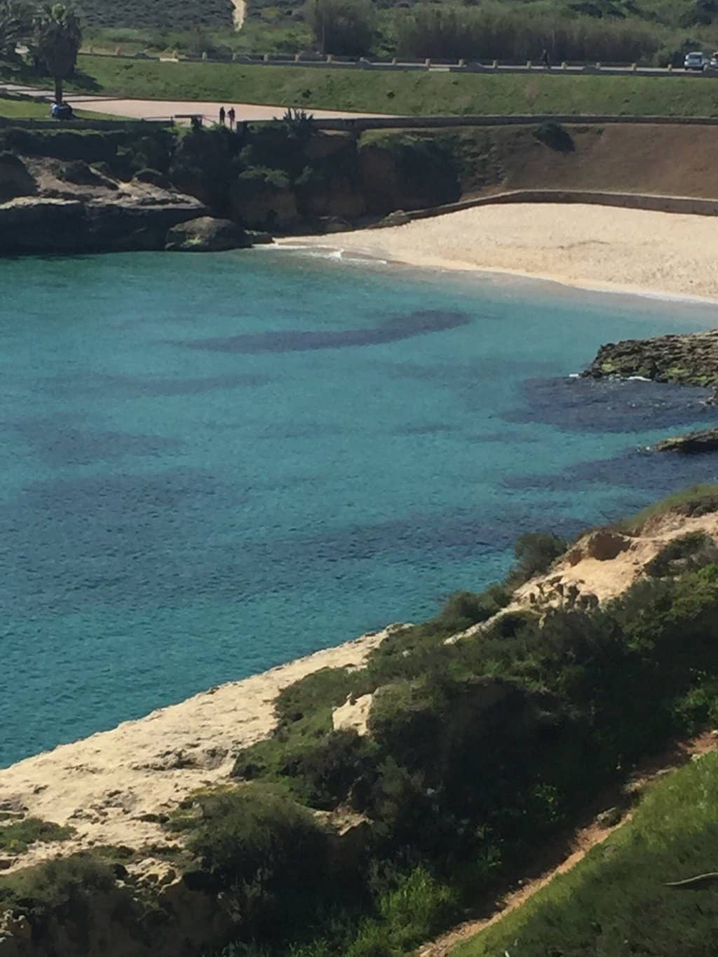 Coastal Walk
