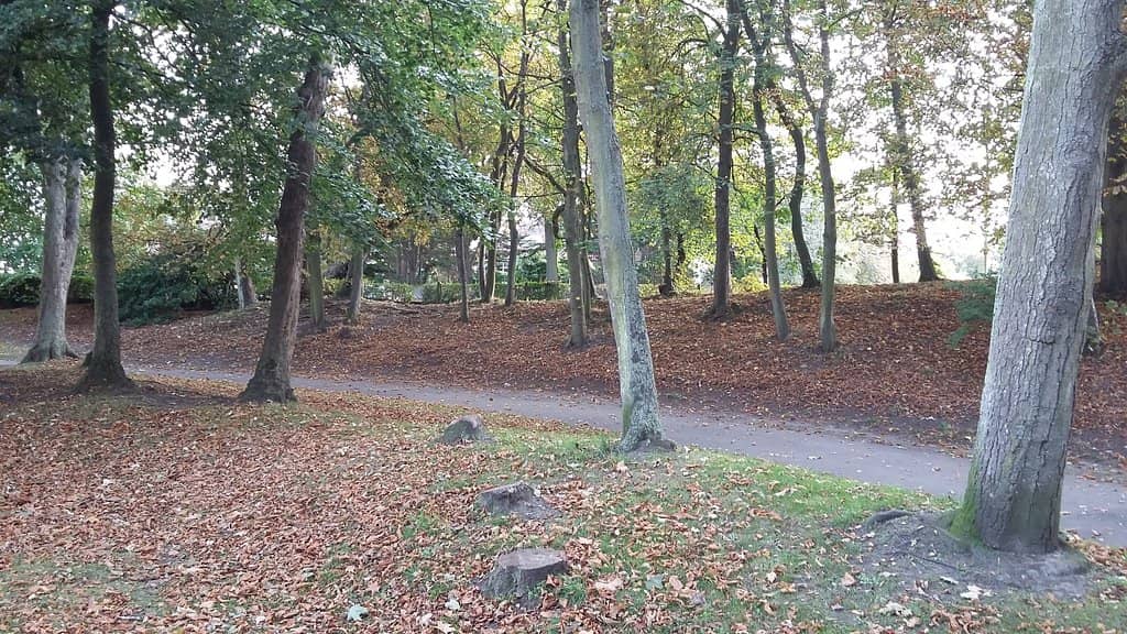 Serene Lake & Fountains