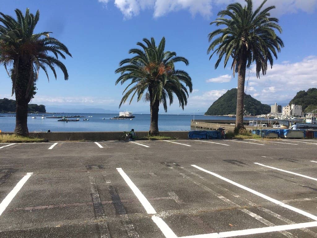 Serene Coastal Stroll