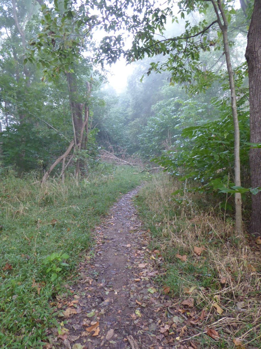 Water Recreation Access