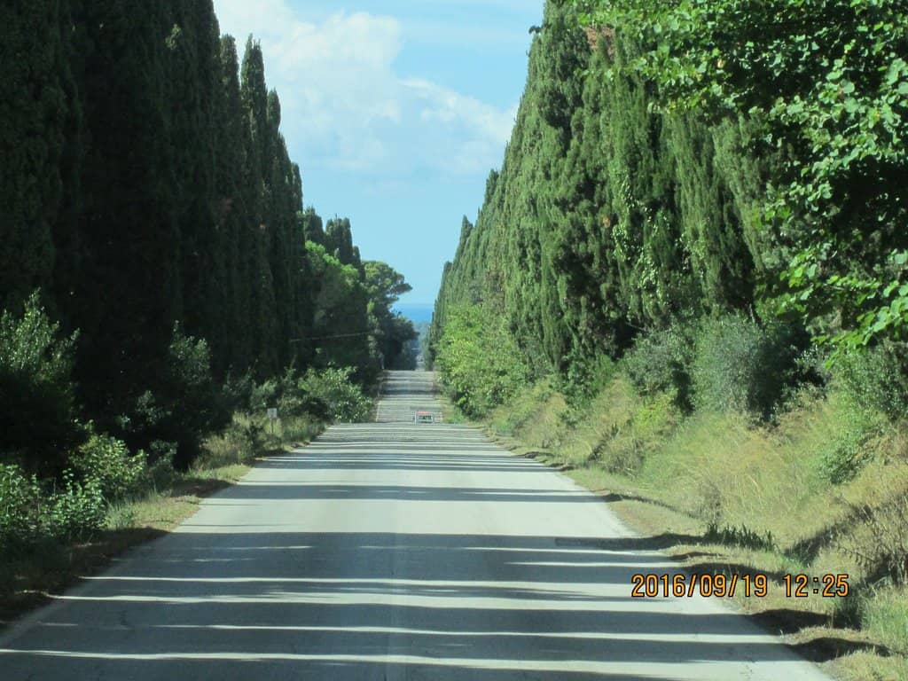 Bolgheri Village