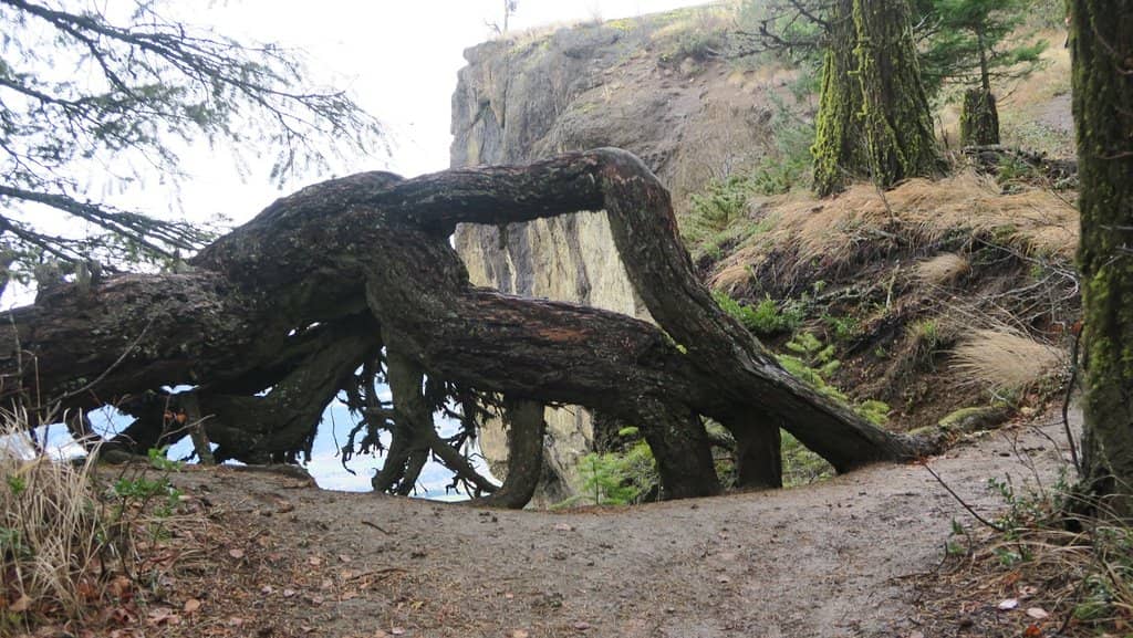 Vertical photo