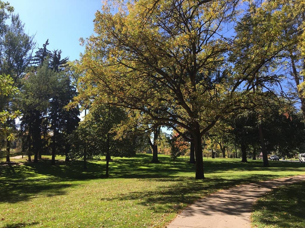 Children's Playground