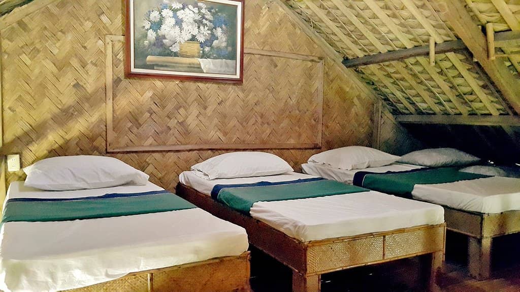 Forest Bathing Experience