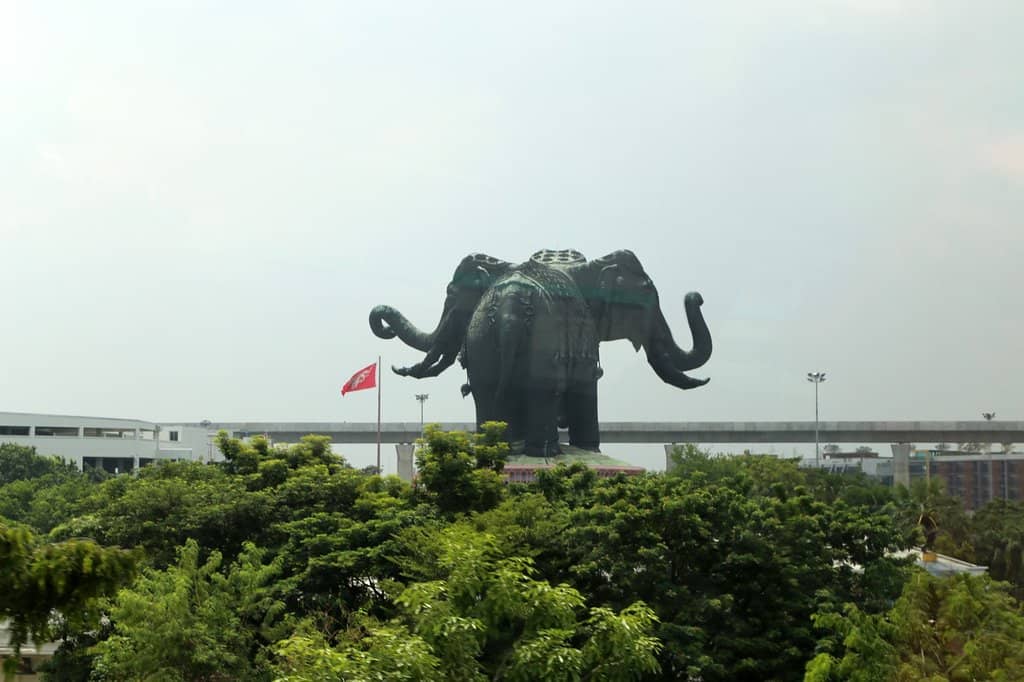 The Museum Grounds