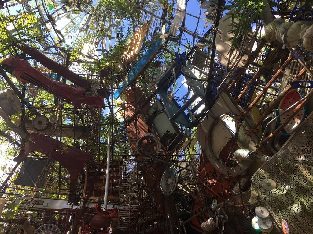 The Artist's Vision