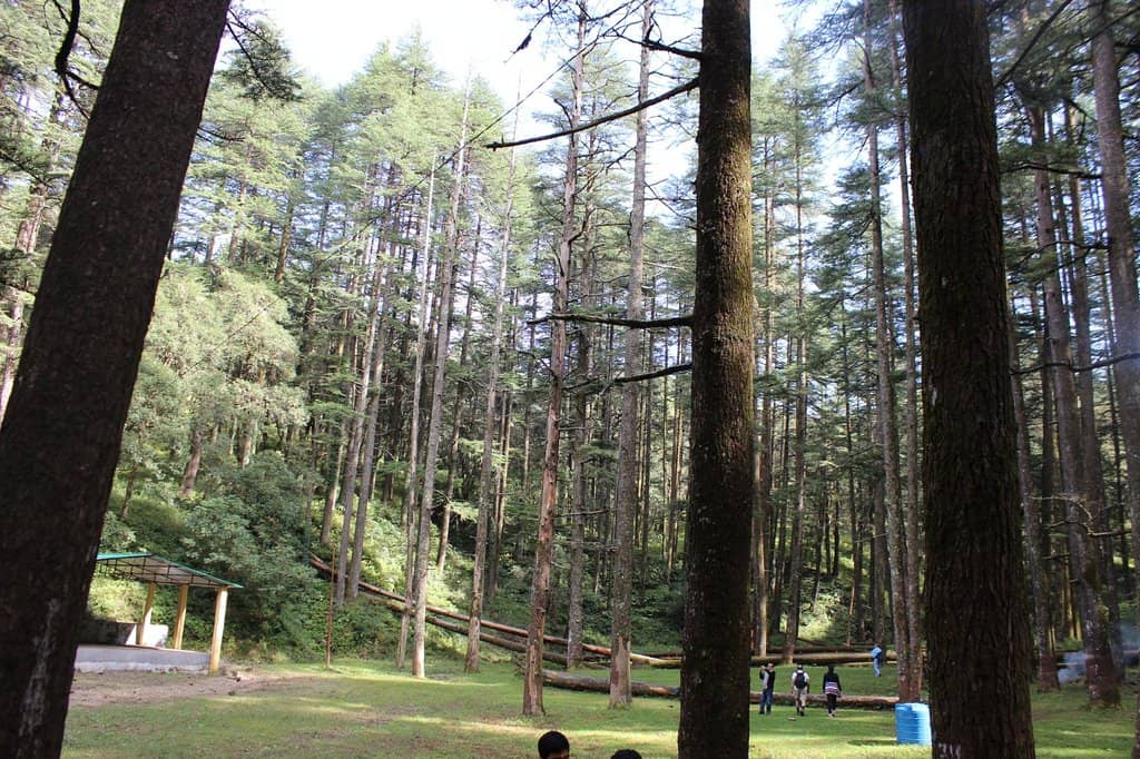 Scenic Mountain Drive