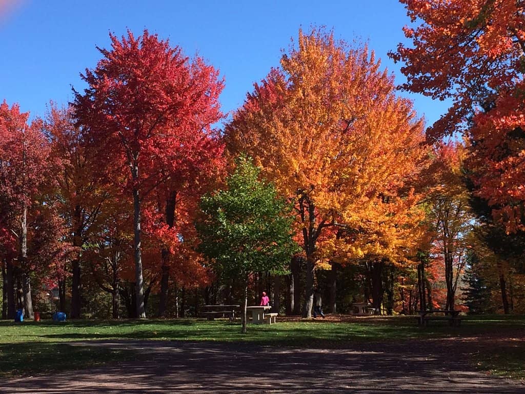 Extensive Walking Trails