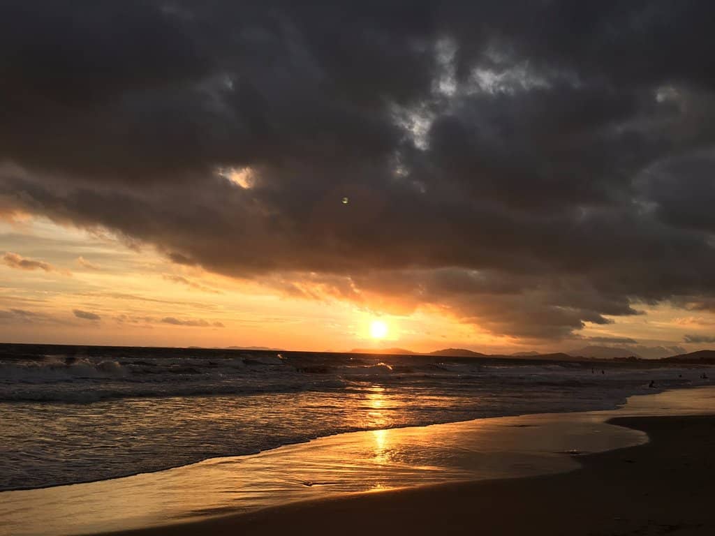 Tranquil Beach Strolls