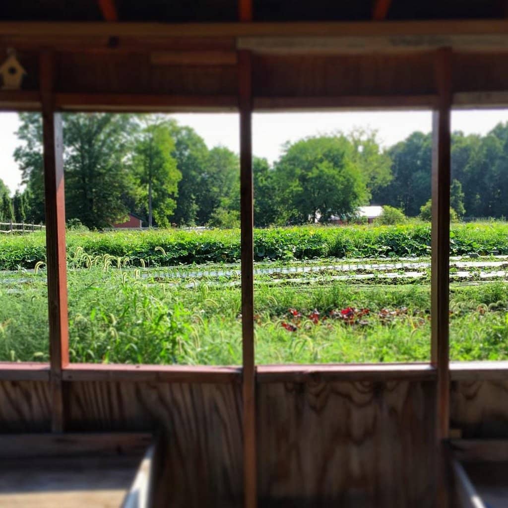 Noble Maritime Collection