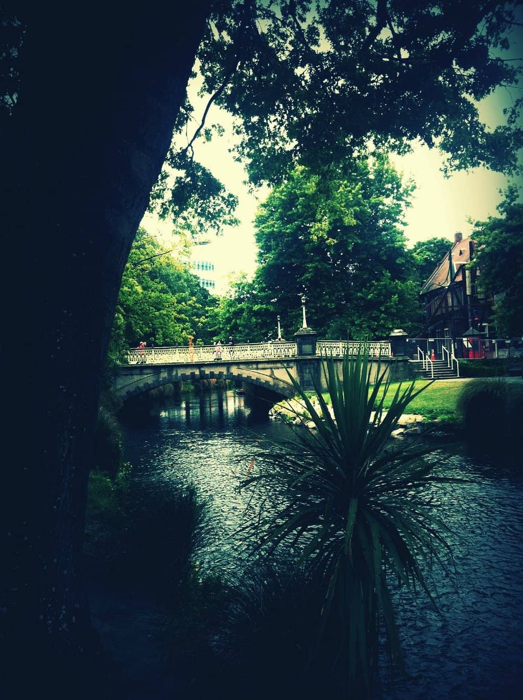 Seasonal Swimming Pool