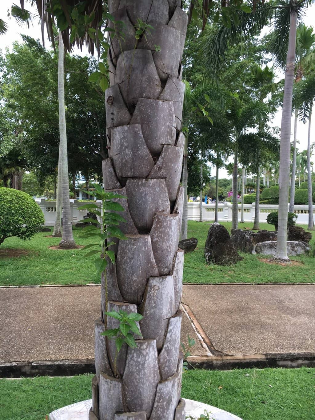 Lifelike Wax Sculptures