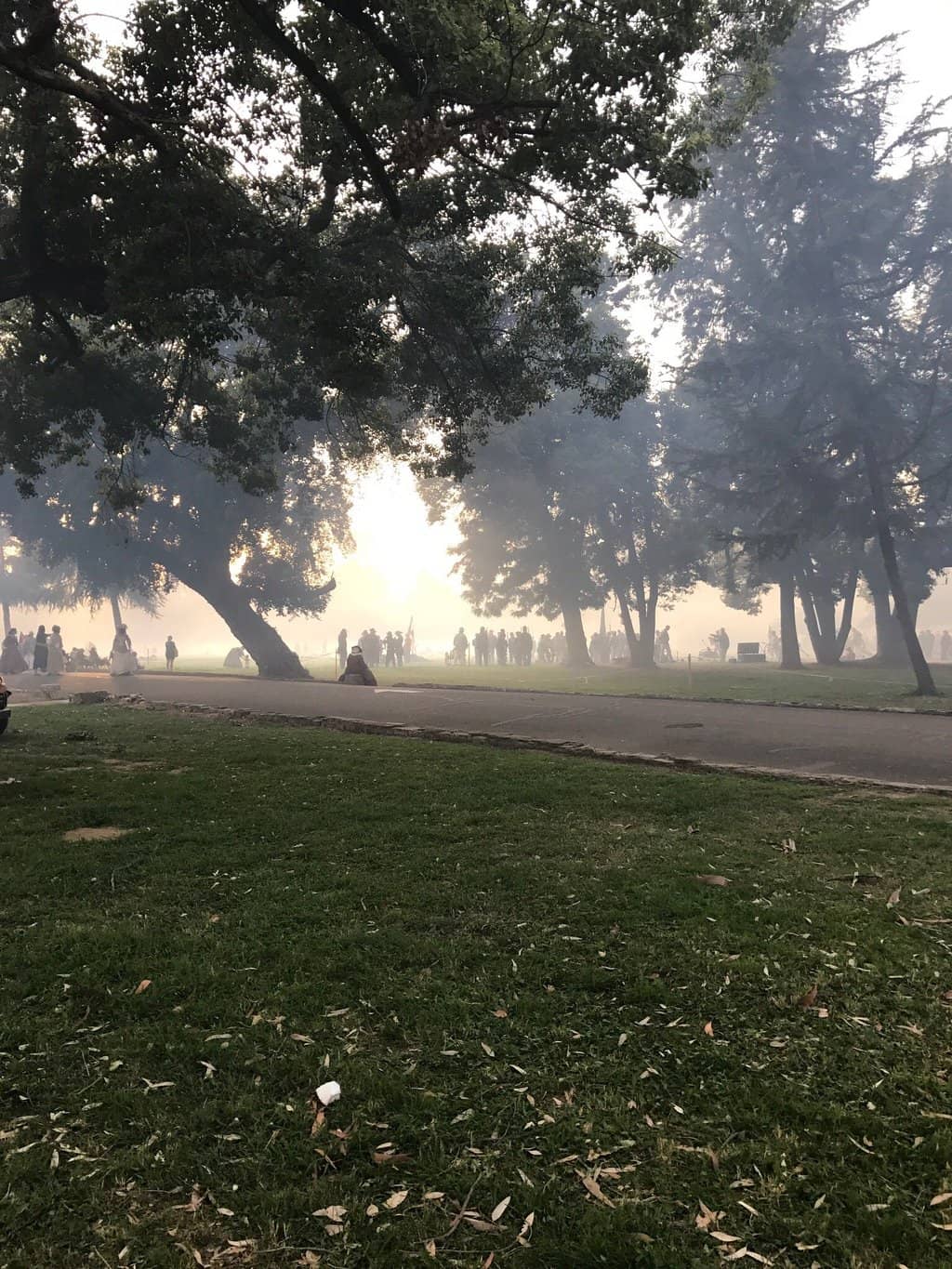 Lowrider & Car Shows