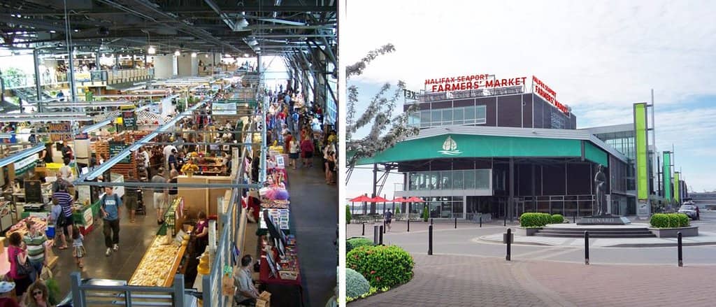 Gurt Wings' Loaded Tater Tots