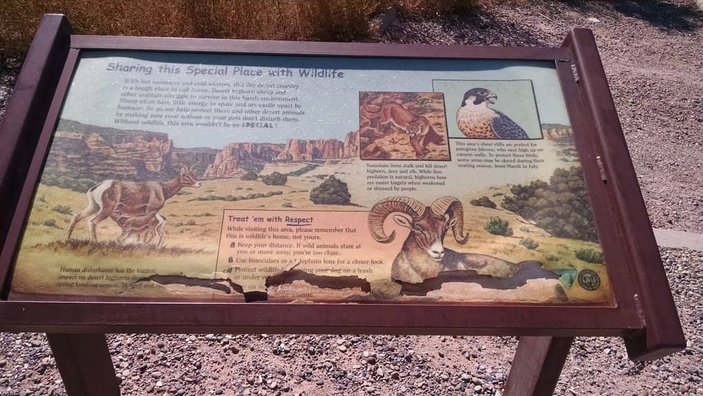 Colorado River Boating