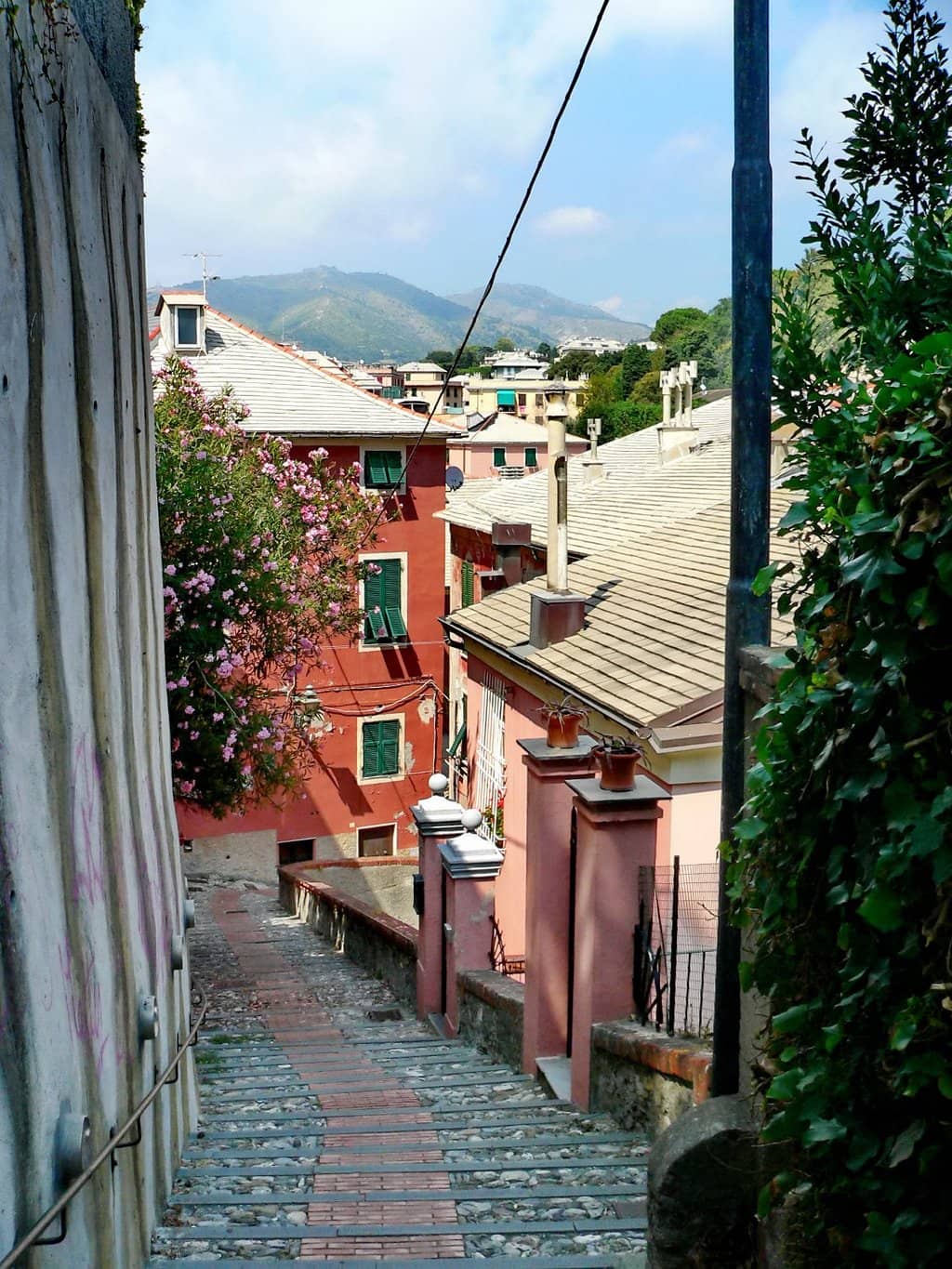 Vertical photo
