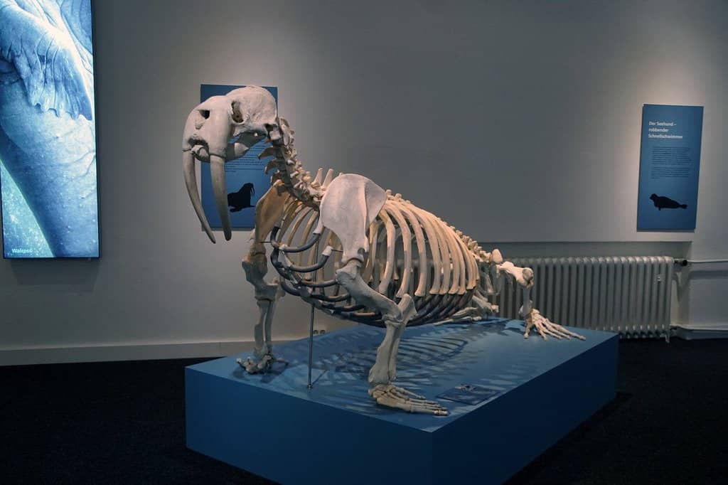 Interactive Exhibits