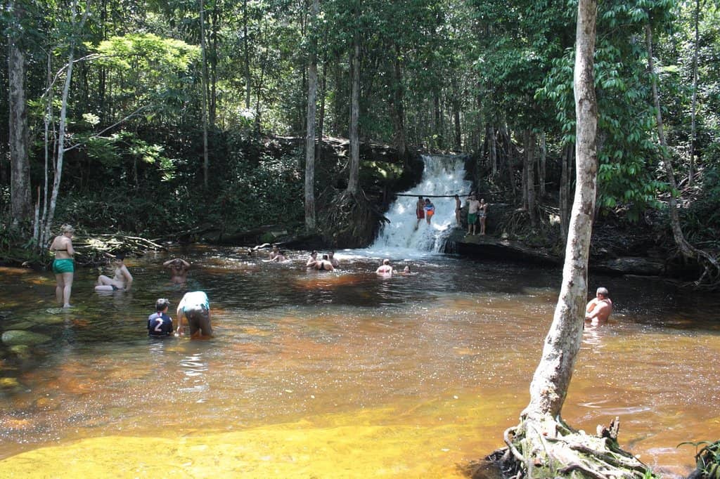 Nature Trails and Wildlife