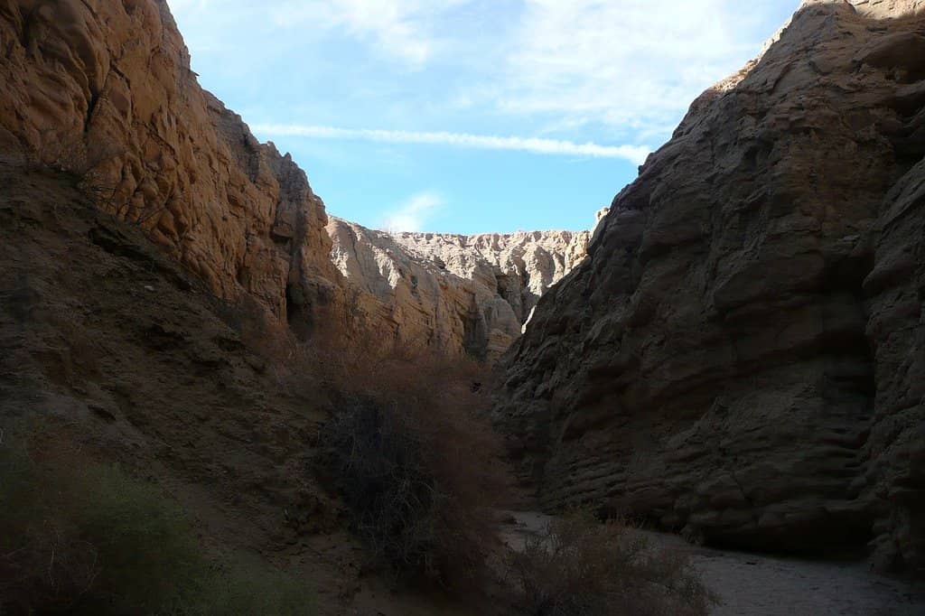 Scenic Sunset/Sunrise Views