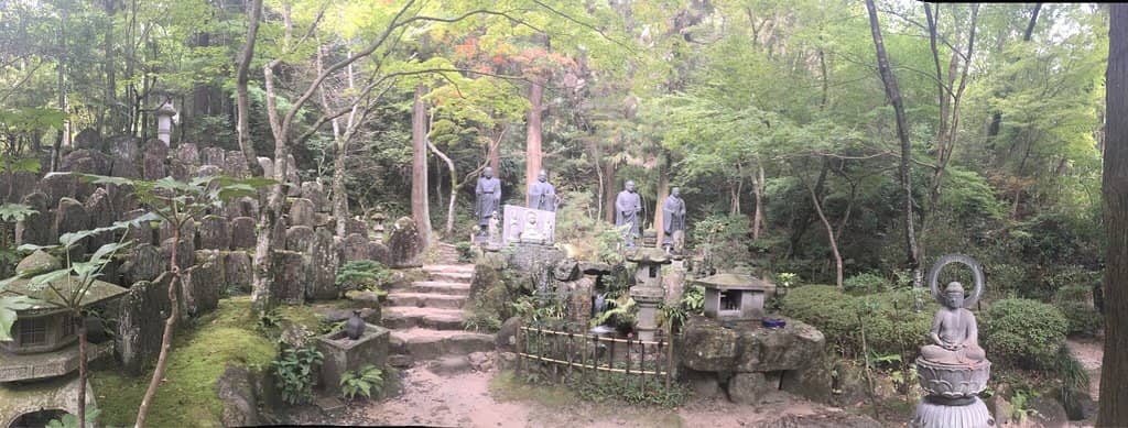 Moss-Covered Steps