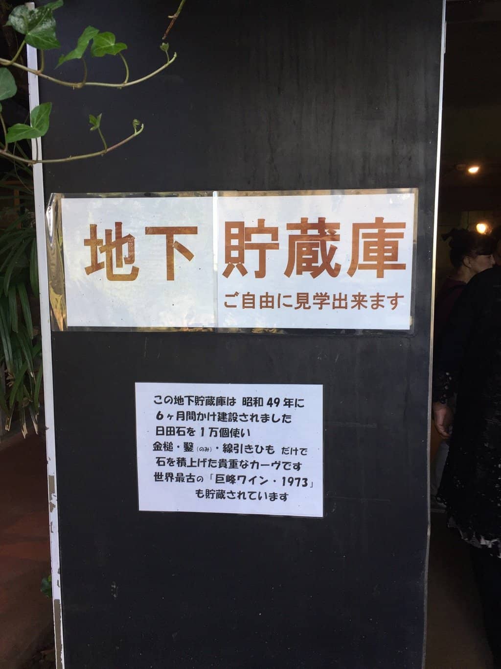 Fruit Wine Selection