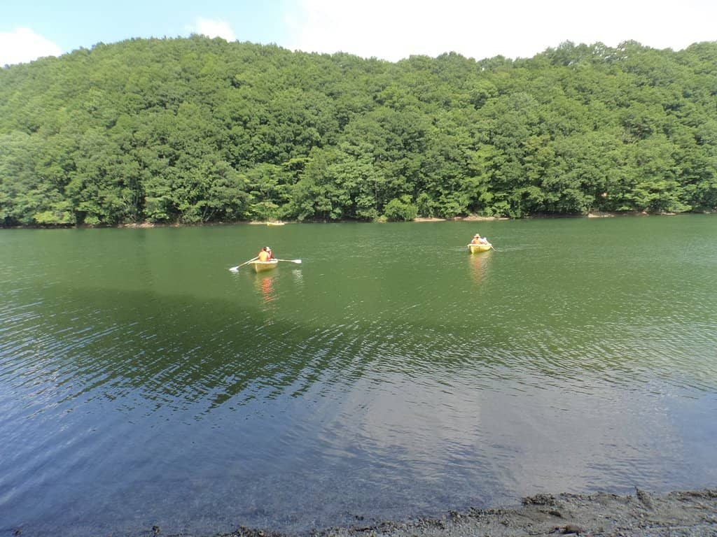Boating Amidst Nature