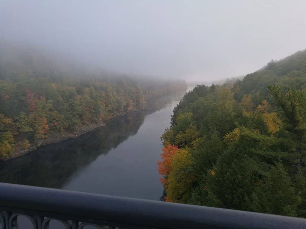 Fall Foliage Spectacle