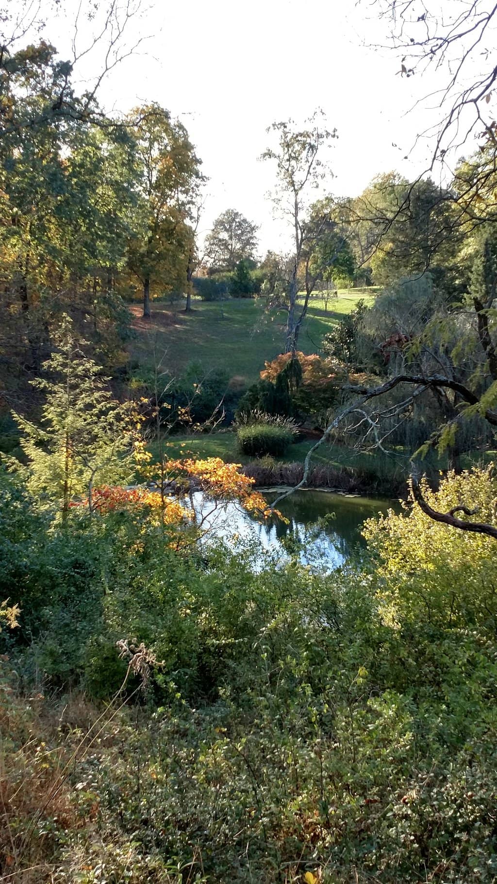Romantic Elopement Spot