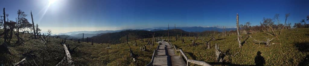 Well-Maintained Hiking Trails