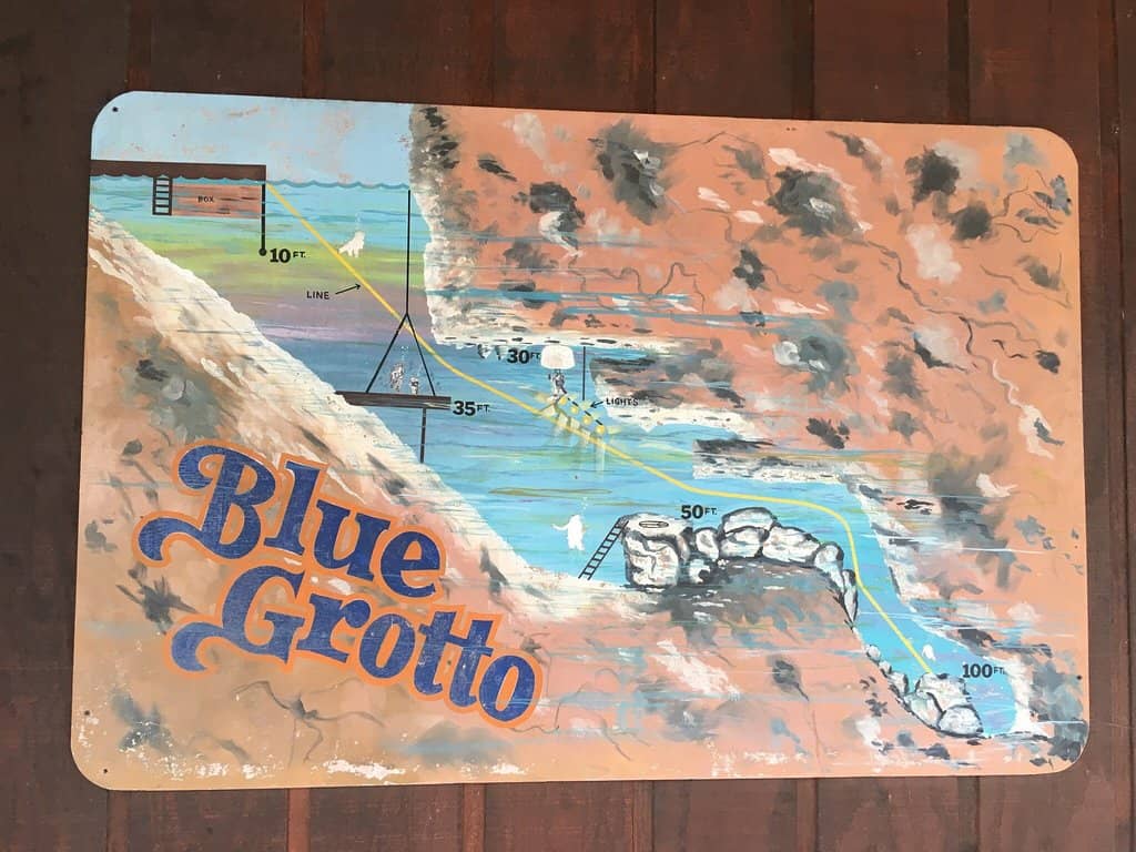 Feeding Virgil the Turtle