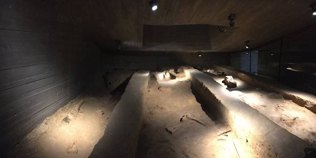 Mammoth Hunter Artifacts