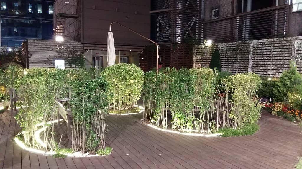 Trendy Youth Fashion