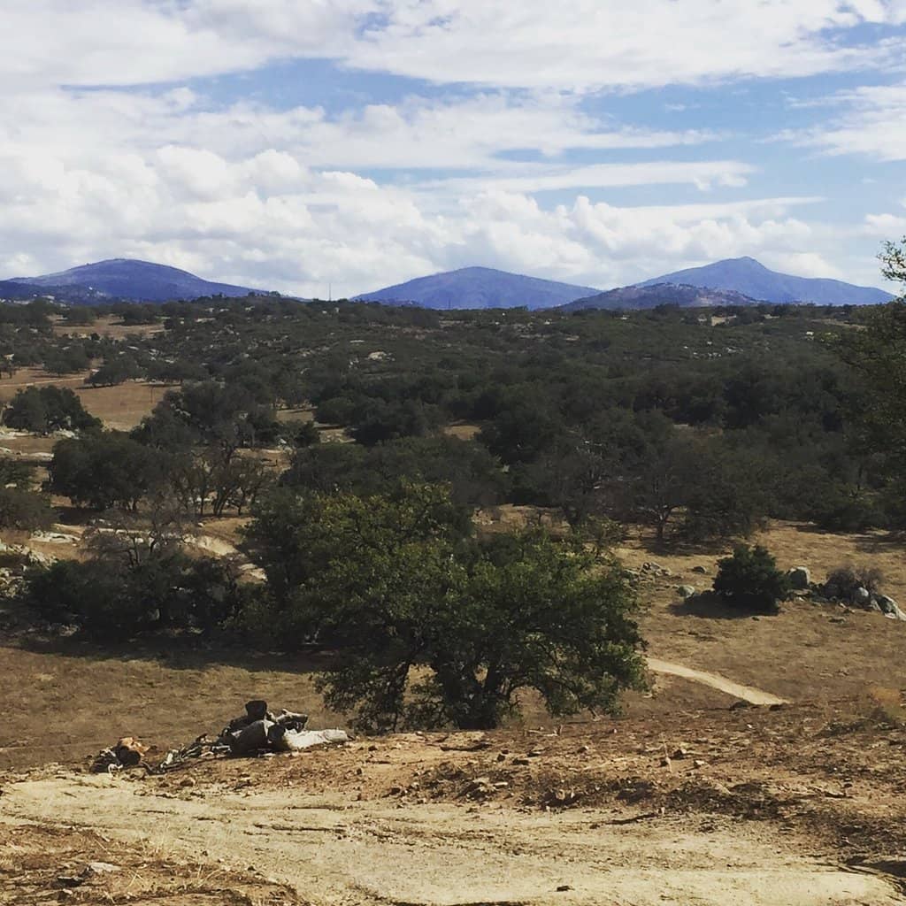 Rolling Hills & Vistas