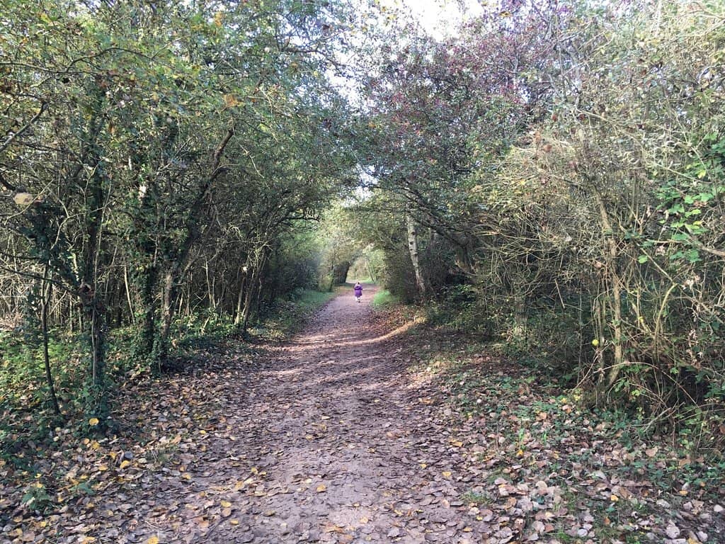 Informative Nature Boards