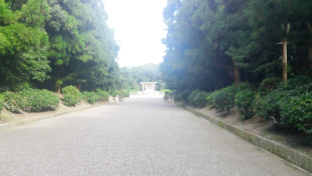 Mt. Unebi Vista