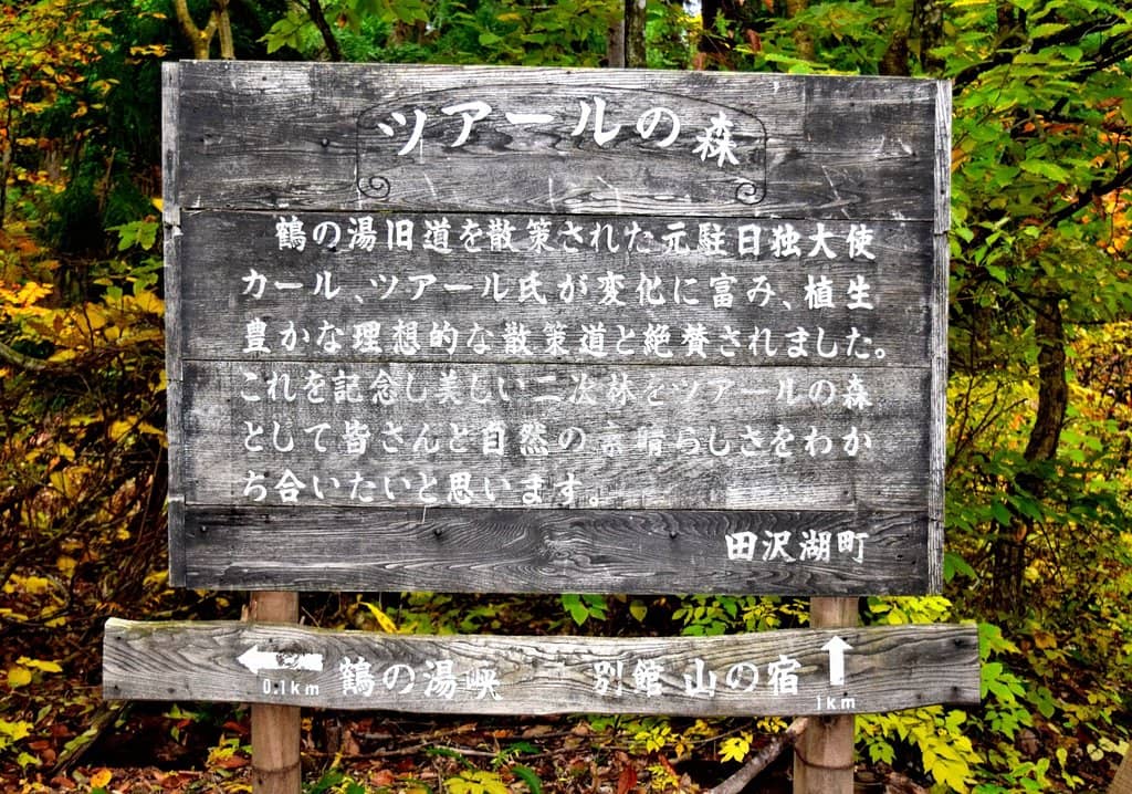 Panoramic Mountain Vistas