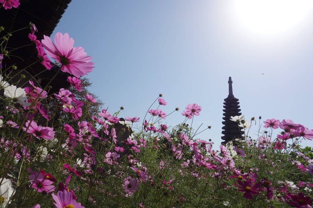 Vertical photo