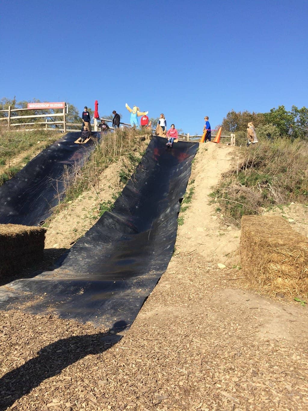 Corn Maze Challenge