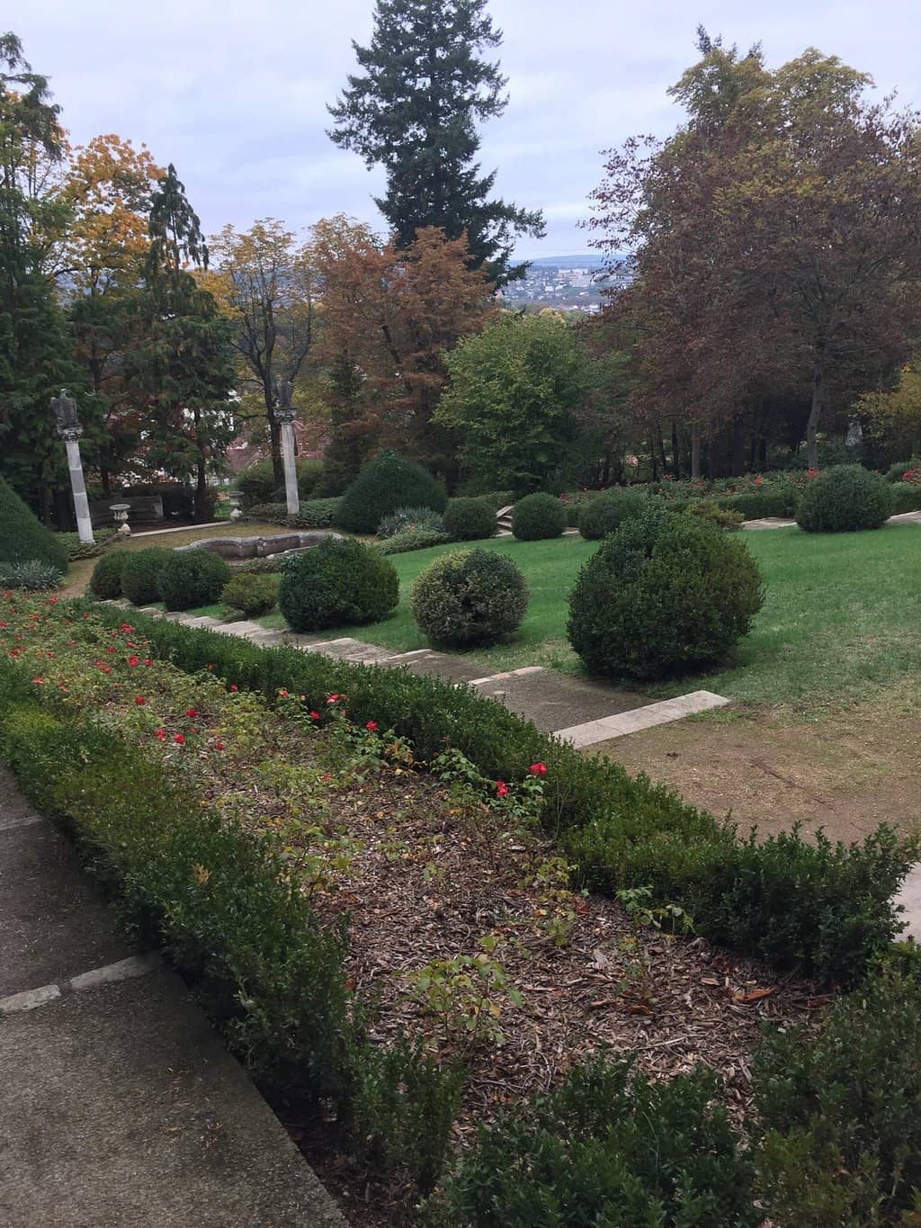 The Serene Park
