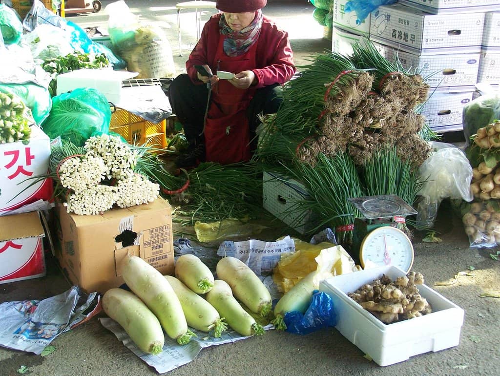 Seafood Extravaganza