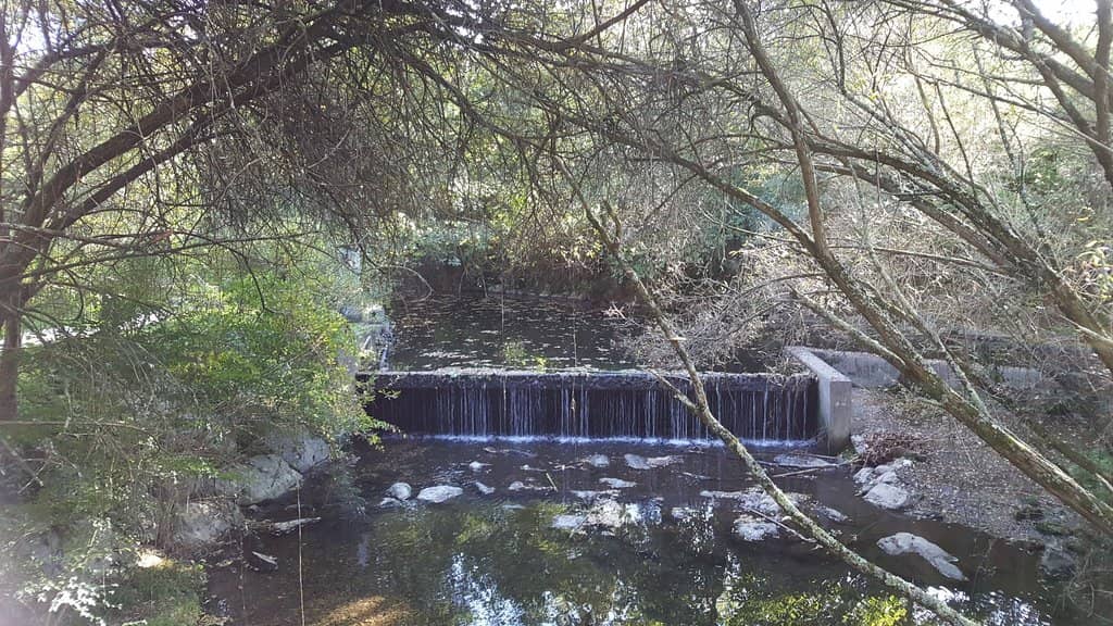 Family Picnic Spot