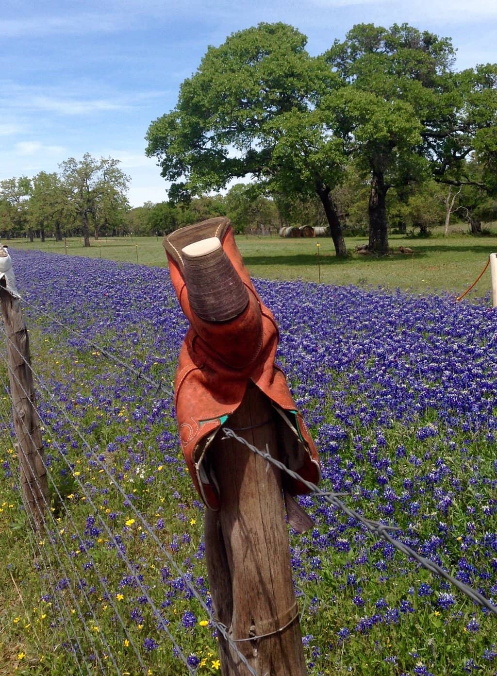 The Boot Fence