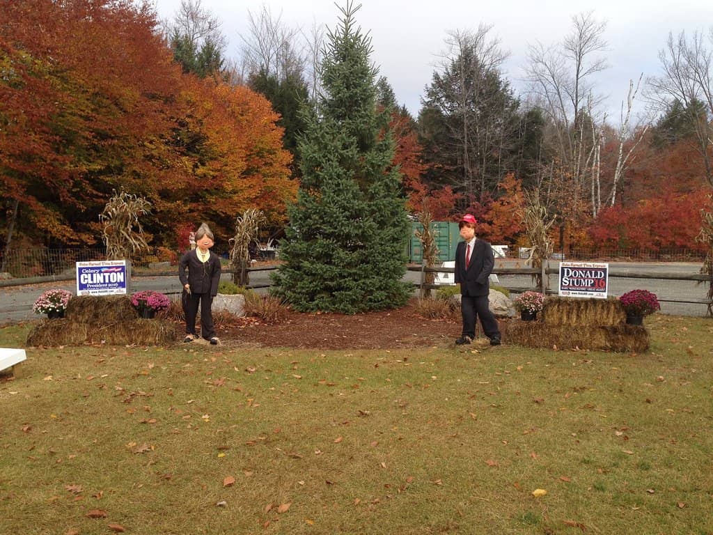 Vintage Train Experience