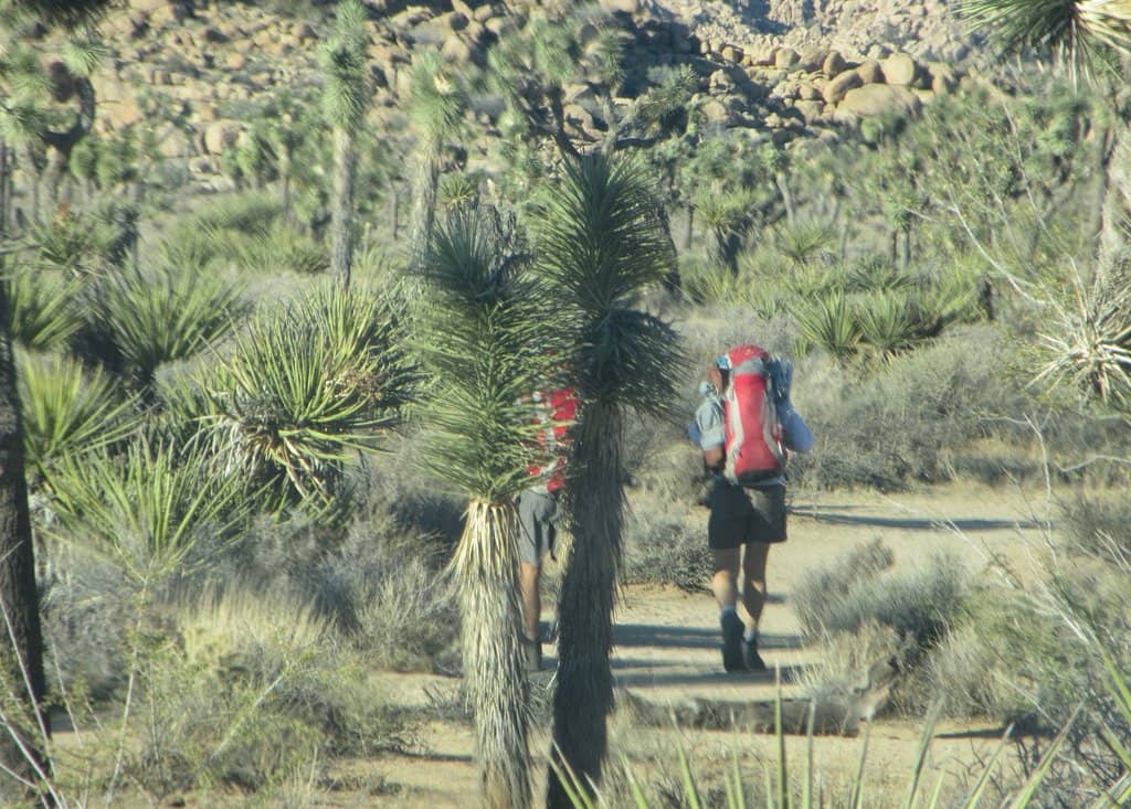 Willow Hole Oasis