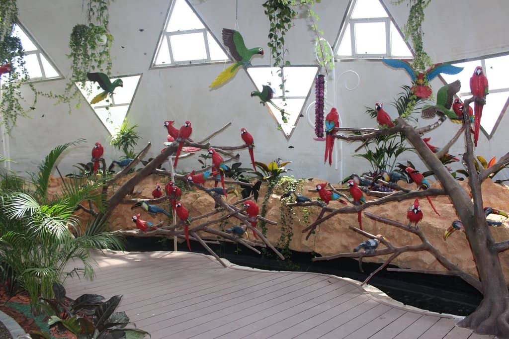 Colorful Floral Displays
