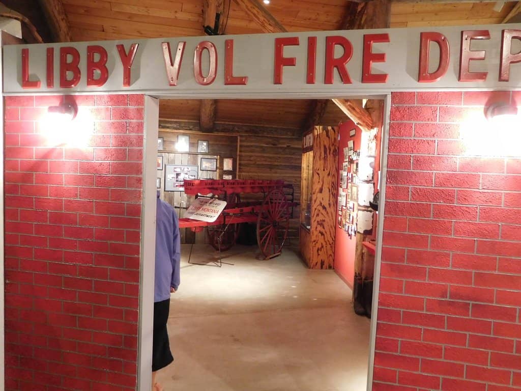 Local Wildlife Displays